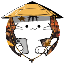 A portrait of Developic